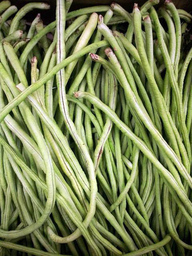 Picture of French Beans