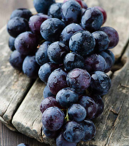 Picture of Grapes Seedless - Black
