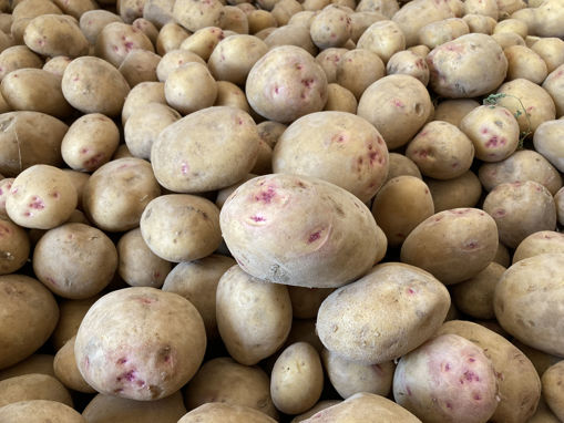 Picture of Potatoes - Pack of 4 Kilos