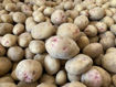 Picture of Mixed Vegetable Box – Fresh, Seasonal & Customizable
